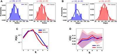 Modeling a domain wall network in BiFeO3 with stochastic geometry and entropy-based similarity measure